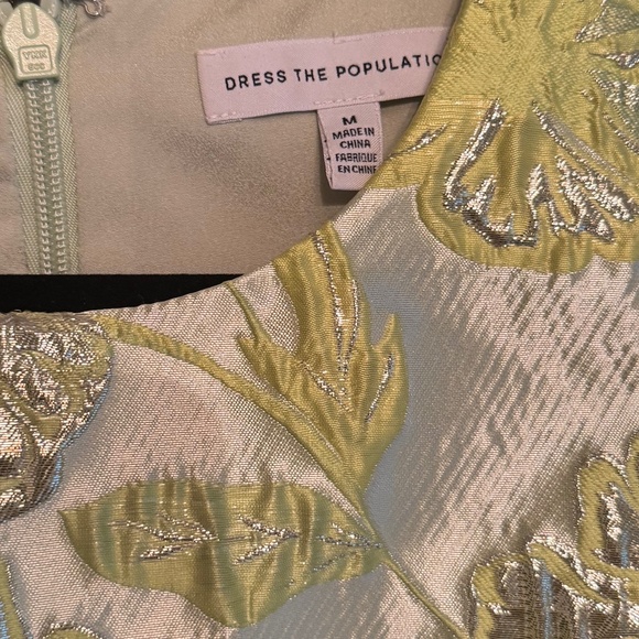 Dress the Population Dress - Picture 2 of 6